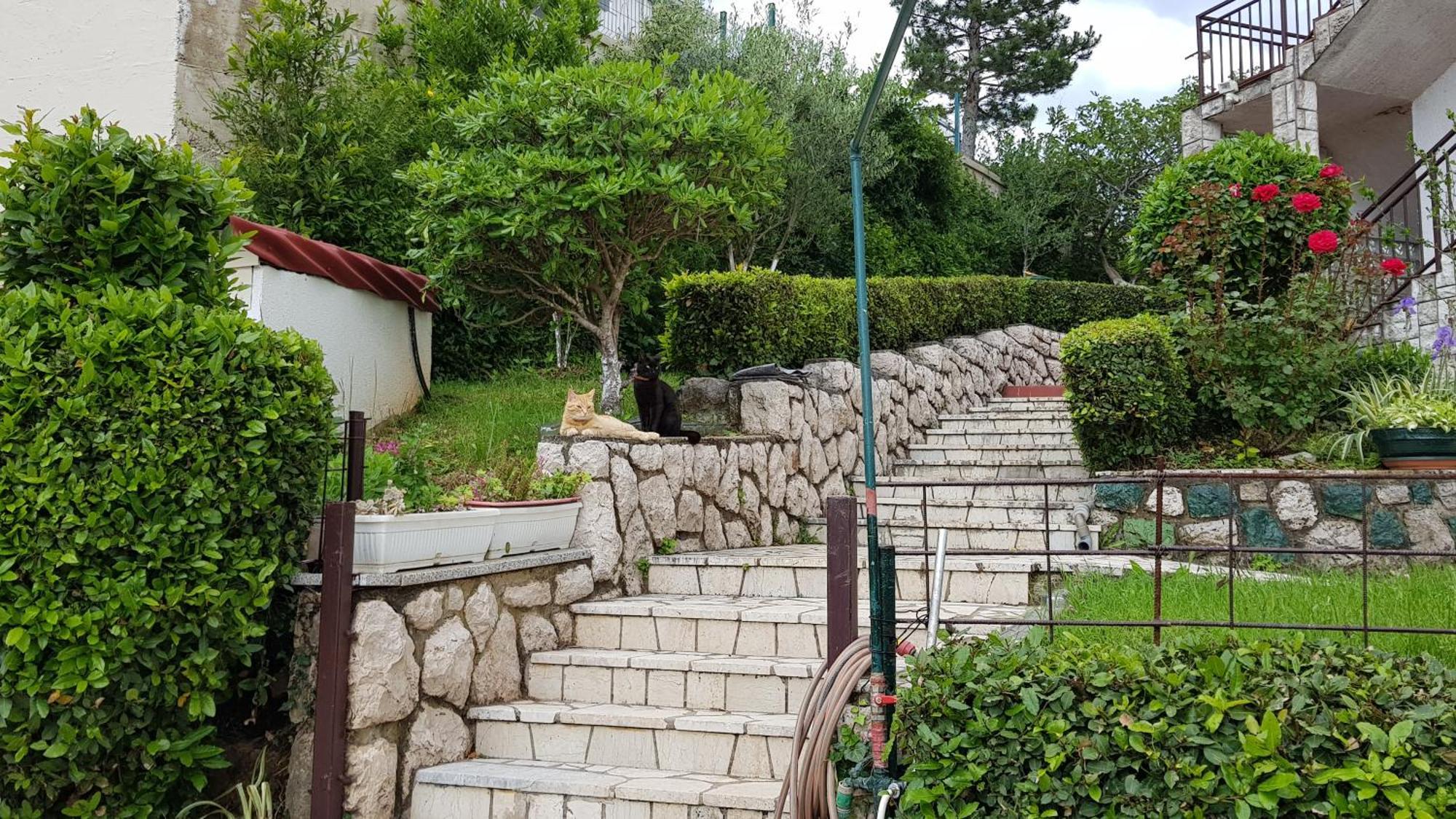 Apartmani Katica2 Crikvenica Kültér fotó